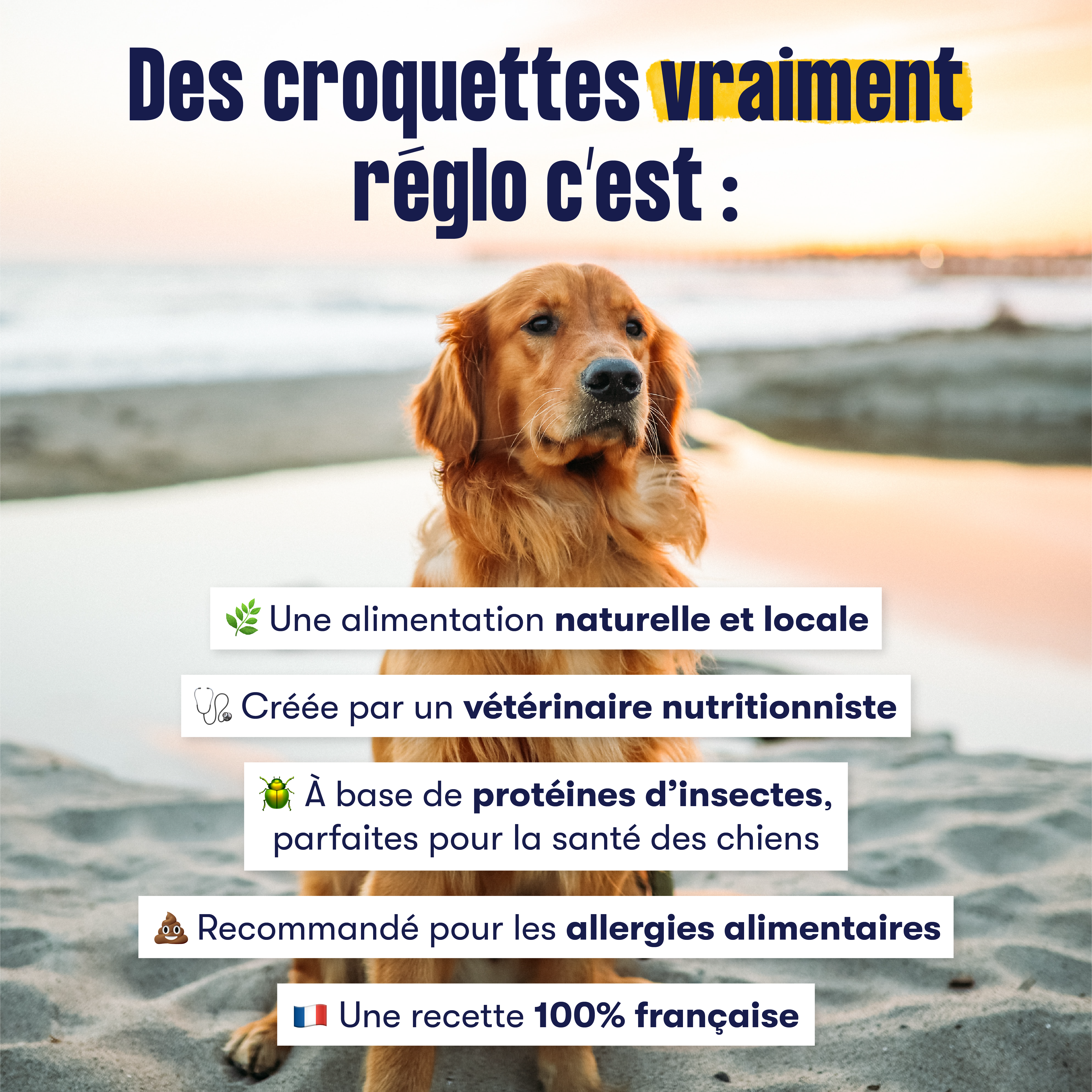 Publicité pour des croquettes pour chien à base d'insectes. Photos d'un chien sur la plage avec du texte par dessus qui énumère les bénéfices des croquettes.